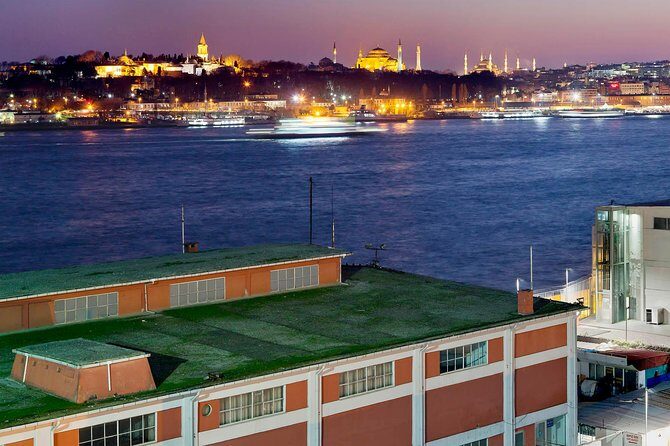 Contemporary Art Walk: Istiklal Street, Modern Art Museums - Visiting the Istanbul Modern Art Museum