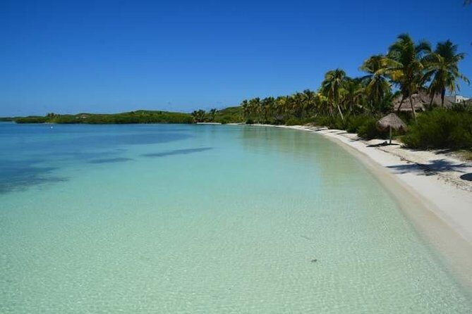 Contoy Island Tour from Playa del Carmen & Cancun - A Closer Look at the Experience