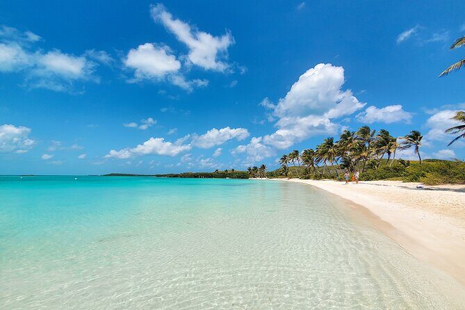 Contoy Island Tour with Untouched Paradise and Beach Day - Exploring Contoy Island: A Natural Sanctuary in the Mexican Caribbean