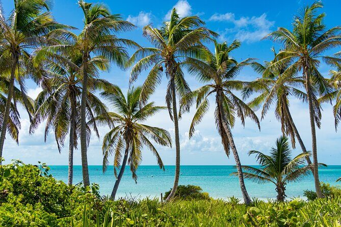 Contoy Island Tour with Untouched Paradise and Beach Day - A Comprehensive Look at the Contoy Island Tour