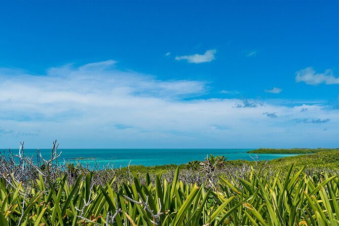 Contoy Island Tour with Untouched Paradise and Beach Day - Final Thoughts: Is It Worth It?