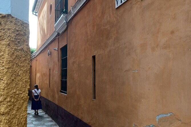 Contrasts of Seville - Who Should Take This Tour?