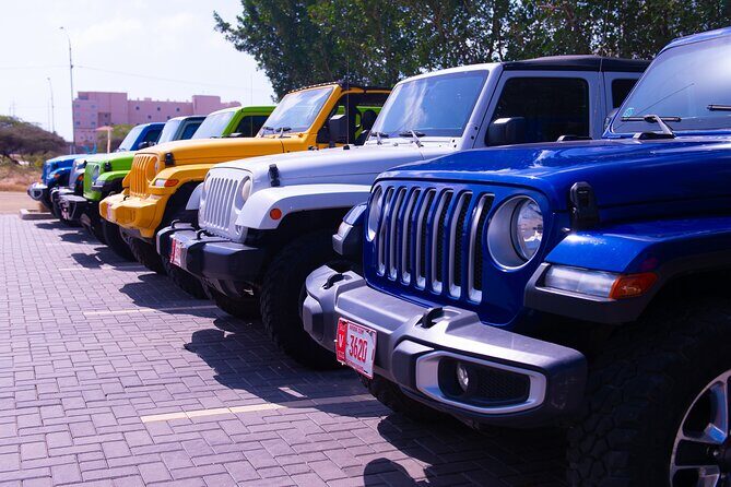 Convenient Jeep Rentals for Island Adventures - Why Rent a Jeep in Aruba?