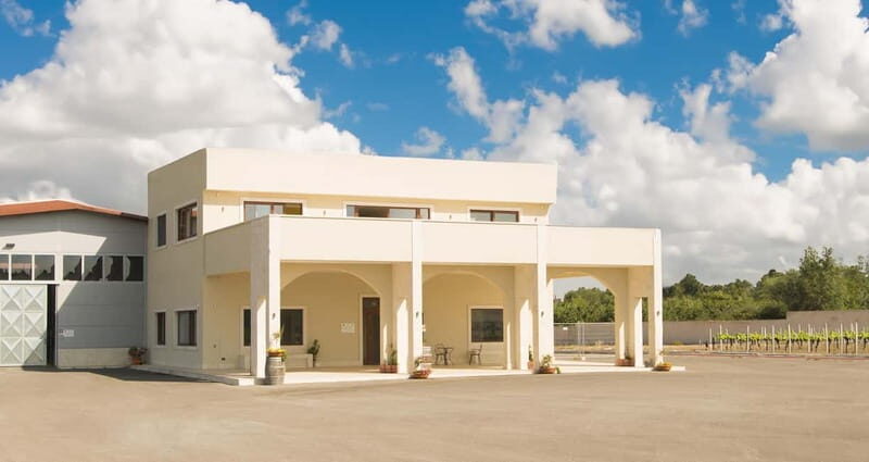 Conversano: wine tasting tour in the winery - Why This Tour Works Well for Travelers