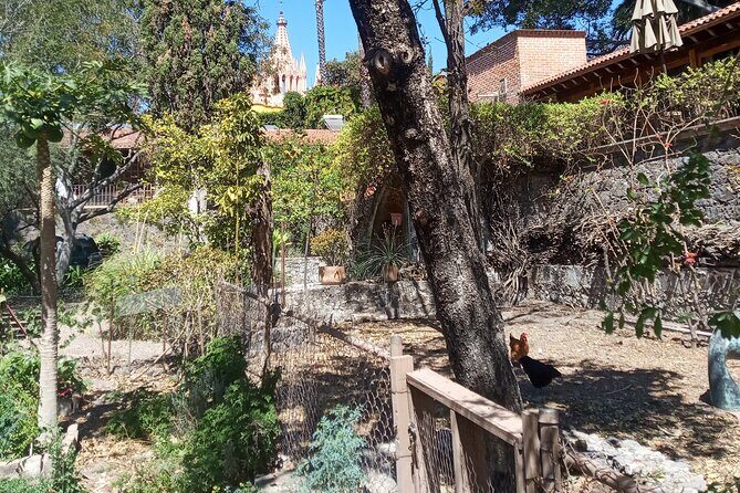 Cook & Dine | Make Authentic Mexican Mole and Salsas in San Miguel de Allende - Final Thoughts