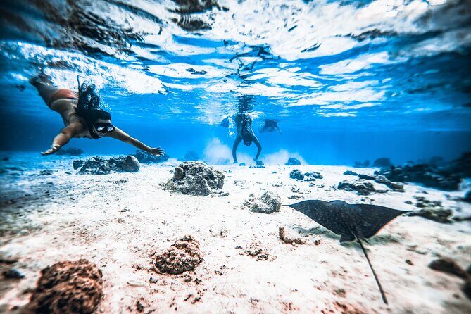 Cook Islands Turtle and Ray Tour - Authentic Experiences Highlighted by Travelers
