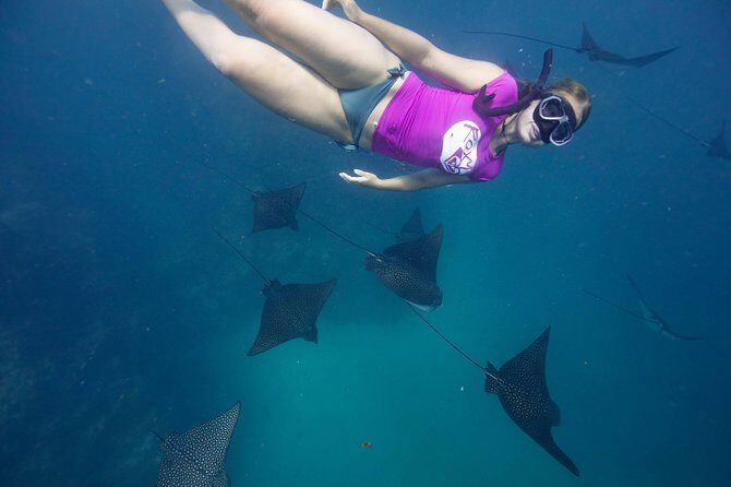 Cook Islands Turtle and Ray Tour - FAQ