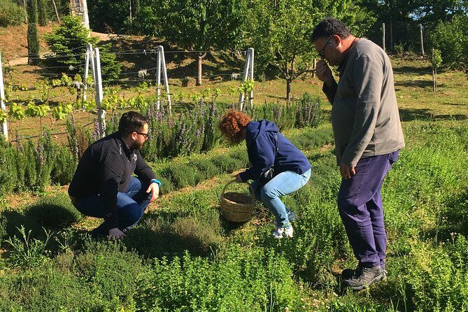 Cook like a local Greek Cooking lesson in Mt Pelion Greece - FAQ