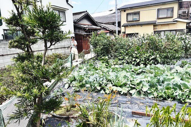 Cook Michelin Grade Tempura & Miso Soup - Practicalities and Tips