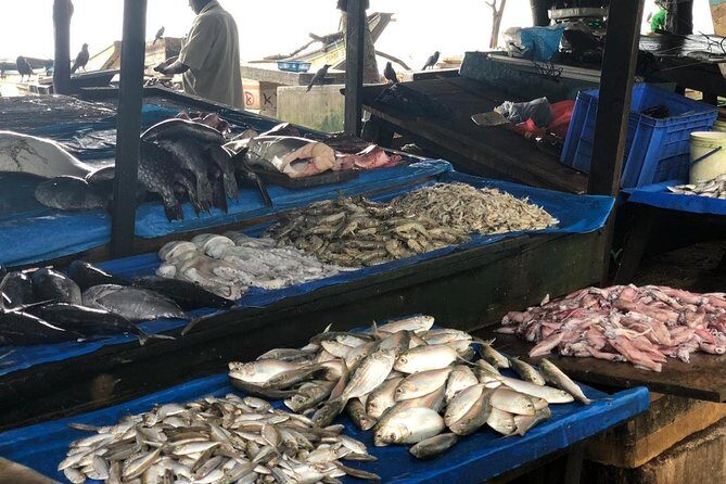 Cook with Wasantha - FAQ