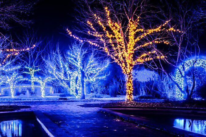 Cookeville Christmas Lights Luxury Tour in the RoadStallion - Experience the Magic of Cookeville’s Christmas Lights in Style