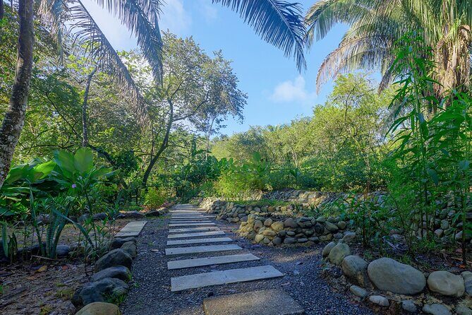 Cooking Class in Manuel Antonio with Medicinal Plants Garden Visit - Final Thoughts: Why Choose This Experience?