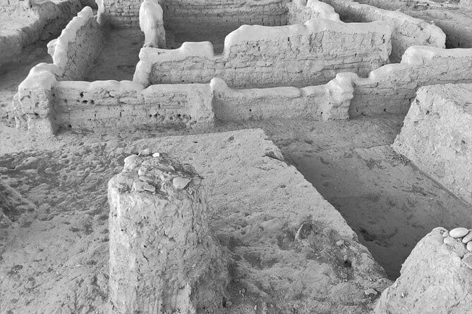 Cooking class in Samarkand with local life experience - Who Should Consider This Tour