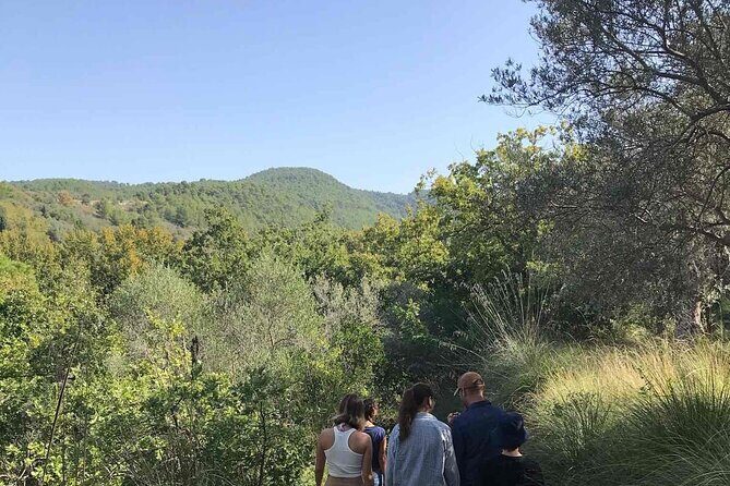 Cooking class in the countryside with Simona - Key Points