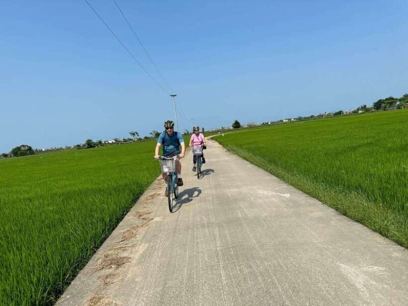 Cooking class in Tra Que village and lantern making - Key Points