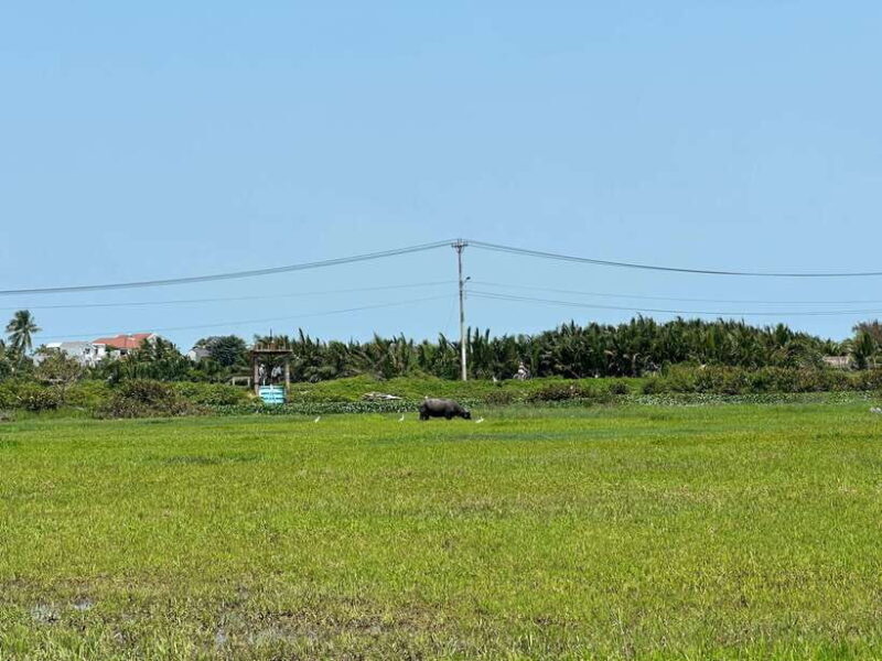 Cooking class in Tra Que village and lantern making - The Practicalities: What Makes This Tour Work