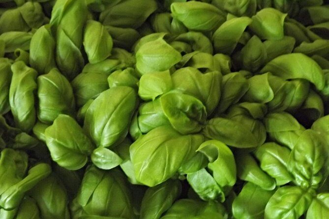 Cooking Class Pesto Sauce - A Closer Look at the Experience