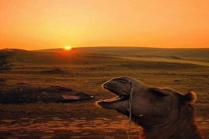 Cooking Class With Indian family - Final Thoughts: Who Is This Tour Perfect For?