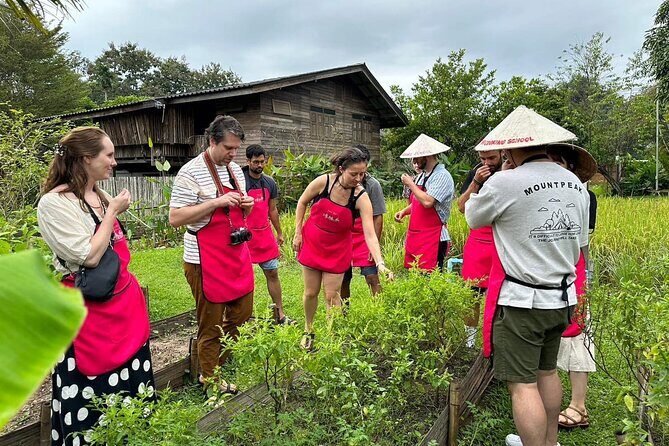 Cooking Class with Organic Farm in Chiang Mai - Key Points