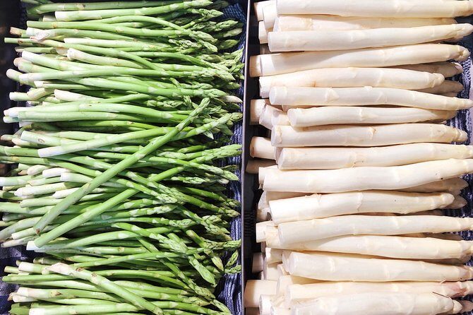 Cooking course Italian regional cuisines - Final Thoughts on Value and Suitability
