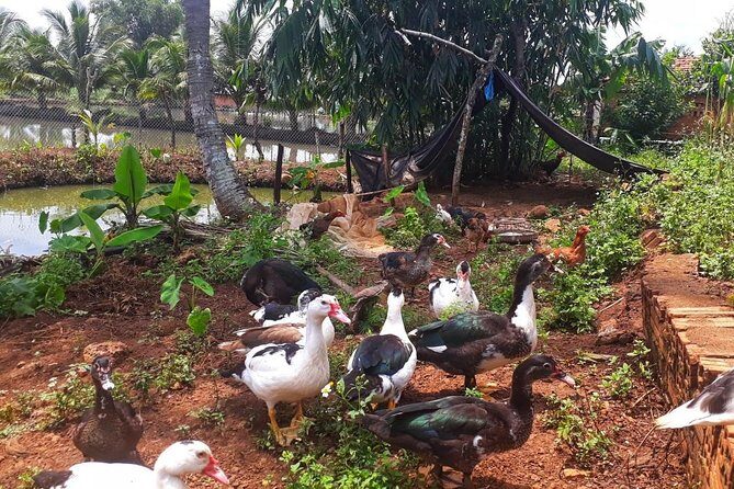 Cooking, Farming and Waterfall In Vietnam Countryside - Final Thoughts: Is It Worth It?