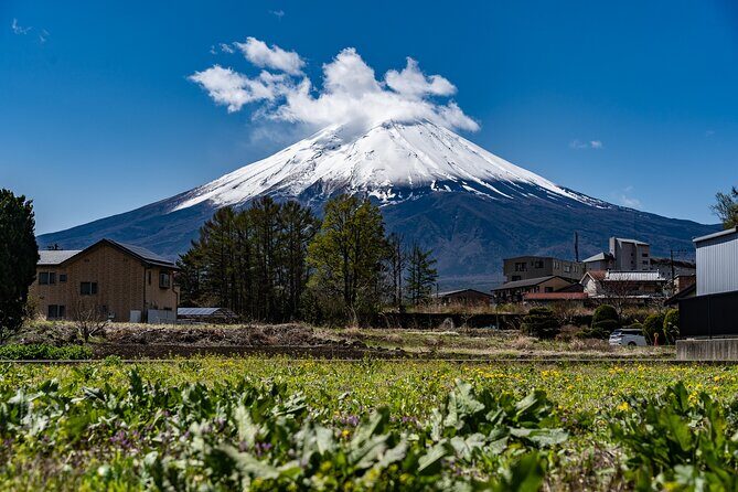 Cooking Hoto Udon Noodle Tour in Mt.Fuji Area from Tokyo - Exploring Japan’s Iconic Mt. Fuji and Culinary Traditions: A Private Udon and Hoto Noodle Tour