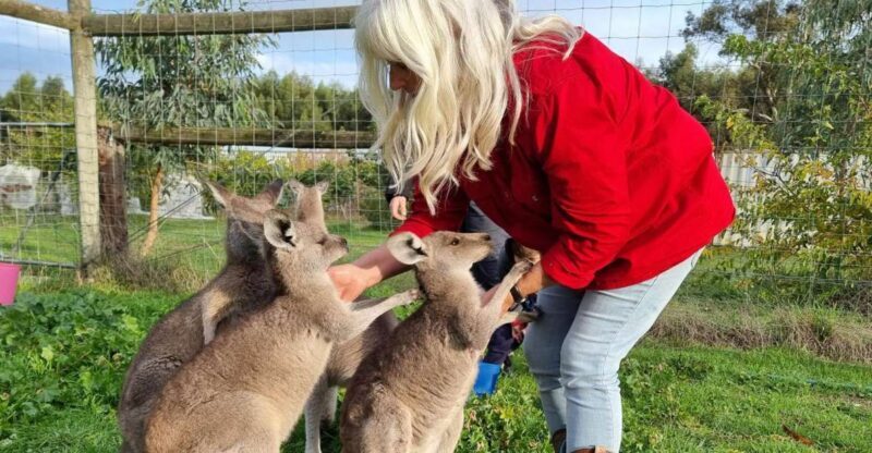 Coonawarra: Caves, Cabernet, & Kangaroos Day Tour & Lunch - The Sum Up