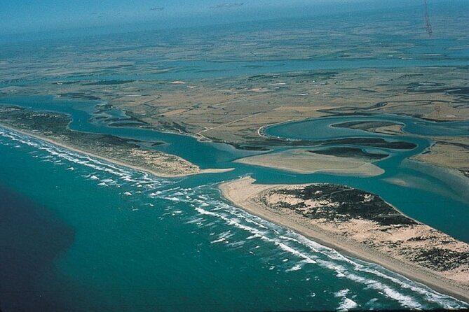 Coorong 3 & 1/2 Lunch Cruise and Tour - An In-Depth Look at the Coorong 3 & 1/2 Lunch Cruise and Tour