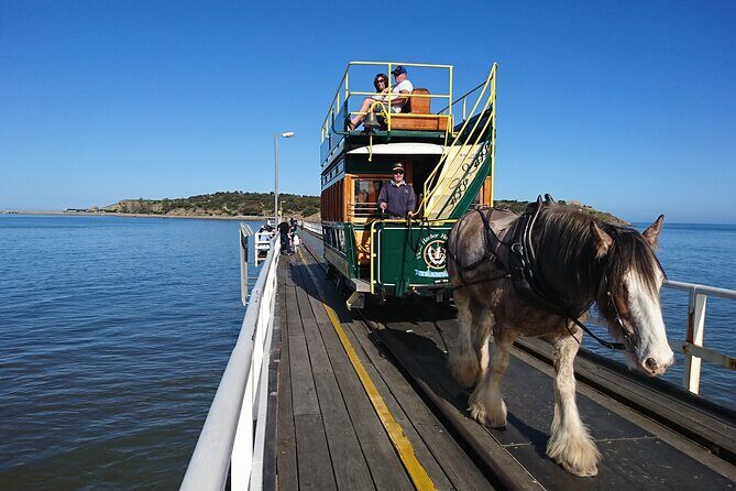 Coorong 3 & 1/2 Lunch Cruise and Tour - FAQ