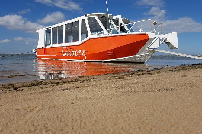 Coorong Highlights Cruise - Exploring the Coorong Highlights Cruise: A Nature Lovers Dream