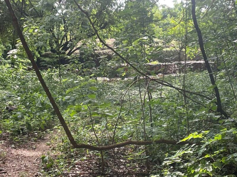 Copalita: Copalita Archaeological Site & La Crucecita Tour - Key Points