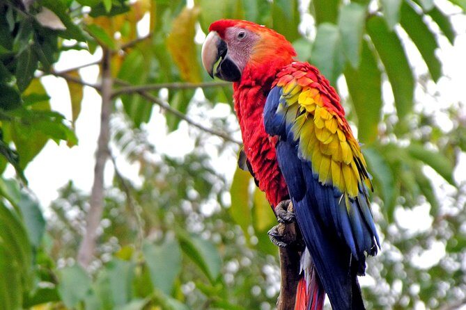 Copan Ruins Overnight Trip from Antigua - The Itinerary in Detail: What You Can Expect