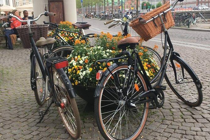 Copenhagen Bicycle Adventure - An In-Depth Look at the Copenhagen Bicycle Adventure