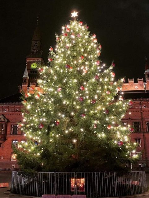 Copenhagen: Christmas Charm Walking Tour with Holiday Beer - The Details of the Copenhagen Christmas Charm Walking Tour