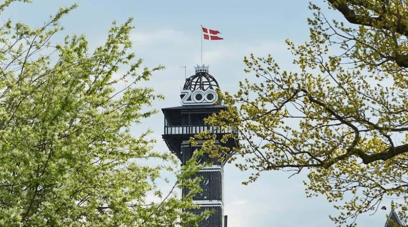 Copenhagen: Copenhagen Zoo Tower Entry Ticket - Key Points