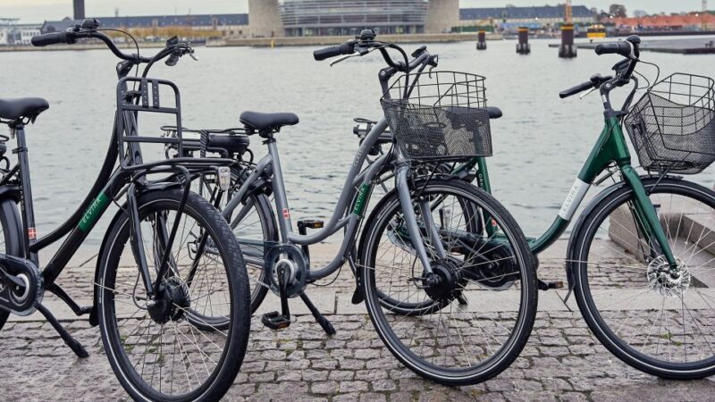 Copenhagen E-Bike Rental - Key Points