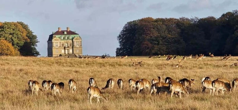 Copenhagen: Guided Tour Deer Park in Klampenborg - Who Would Enjoy This Tour?