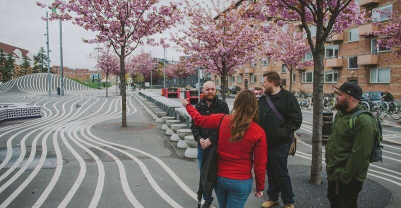 Copenhagen: Nørrebro Neighborhood Tour - Navigating the Heart of Copenhagen’s Trendy Side