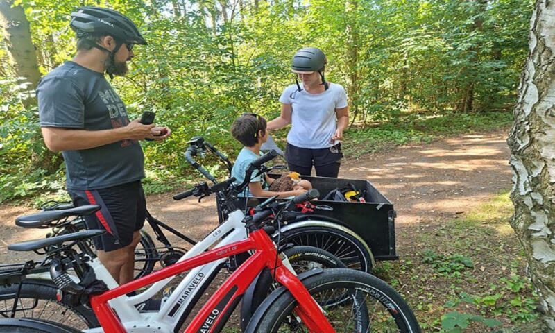 Copenhagen: Private Forgotten Giants E-Bike Treasure Hunt - FAQ