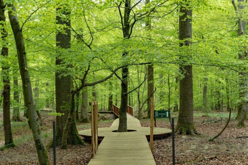 Copenhagen: The Forest Tower & Forgotten Giants Trolls Trip - Who Should Consider This Tour?