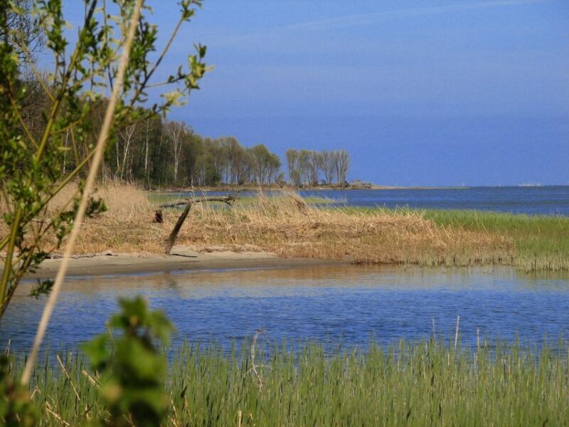 Copernicus Trail in Frombork Private Tour from Gdansk by Car - FAQ