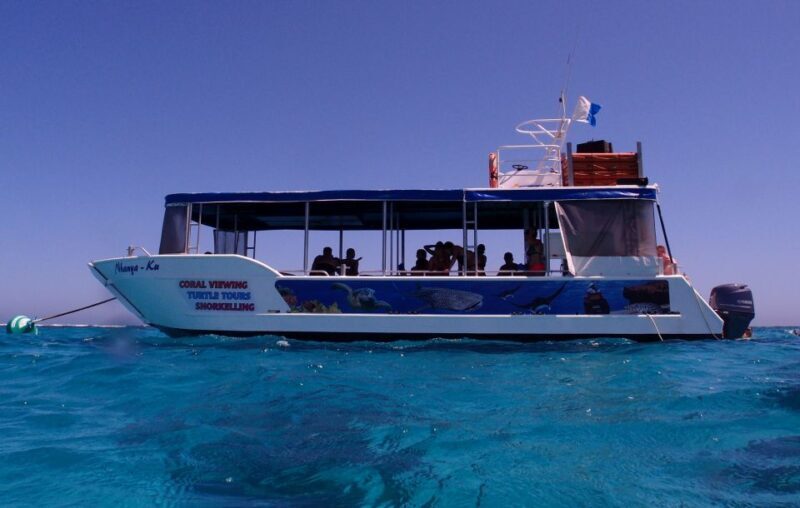 Coral Bay: 2-Hour Coral Viewing and Snorkeling - An In-Depth Look at the Coral Bay Snorkeling Tour