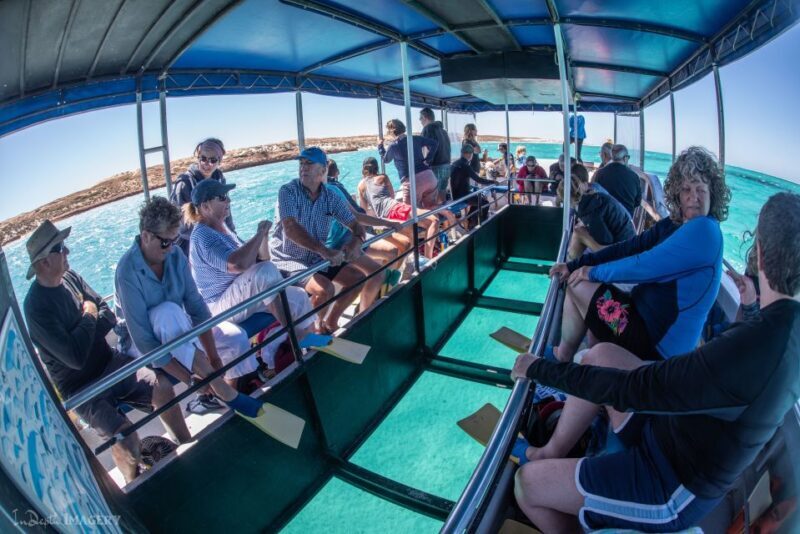 Coral Bay: 2-Hour Coral Viewing and Snorkeling - The Sum Up