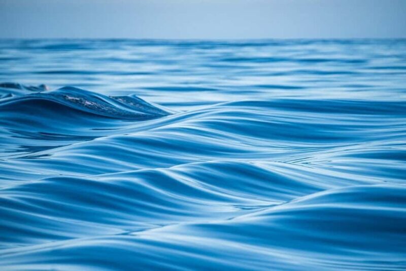 Coral Bay: Half Day Ningaloo Reef Adventure with Manta Rays - The Experience from Travelers’ Perspectives
