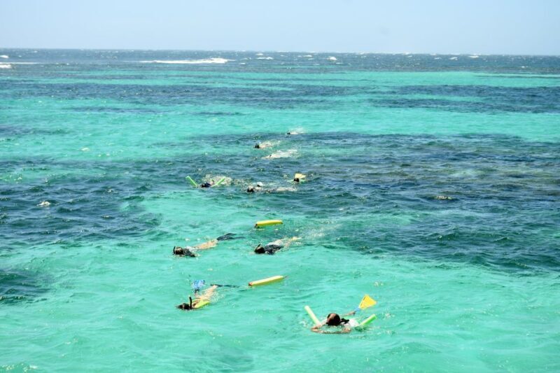 Coral Bay: Ningaloo Reef 3-Hour Turtle Ecotour - Exploring the Experience in Detail