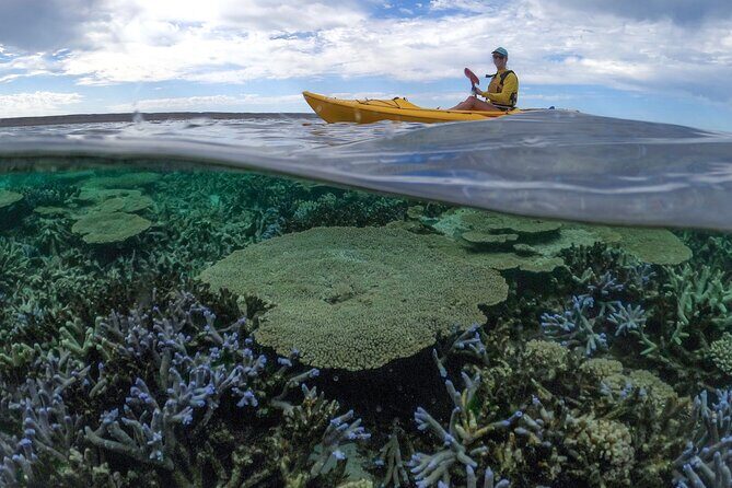 Coral By Kayak - Ningaloo Reef Half Day Kayak & Snorkel Tour - Frequently Asked Questions