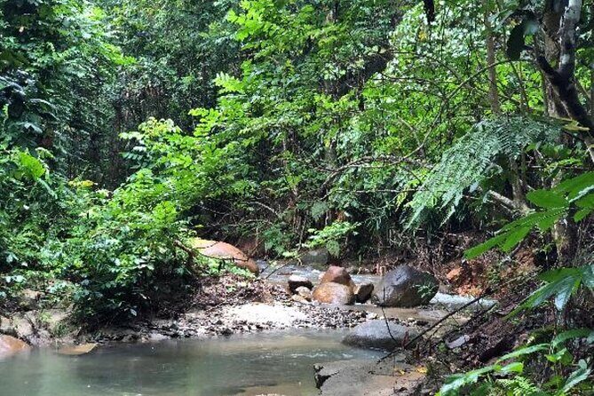 ''Coral Coast Adventure: Biausevu Waterfall & Natadola Beach !'' - FAQ