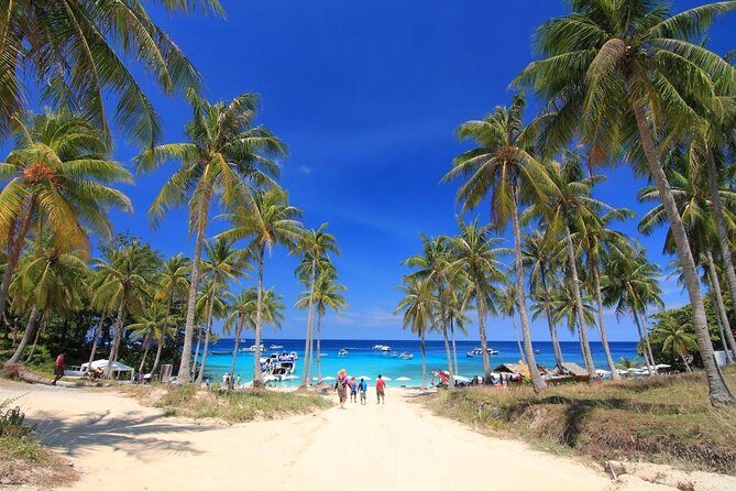 Coral Island & Racha Island Speedboat Excursion - Key Points