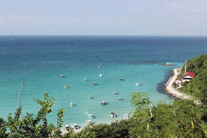 Coral Island Tour and Water Activities with Meal in Pattaya - Who This Tour Is Best For