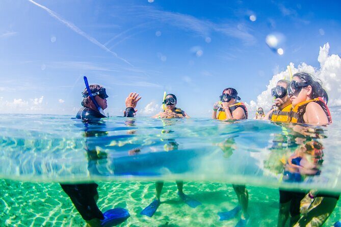 Coral Reef Snorkeling Expedition from Cancun with Beachside Lunch - Key Points